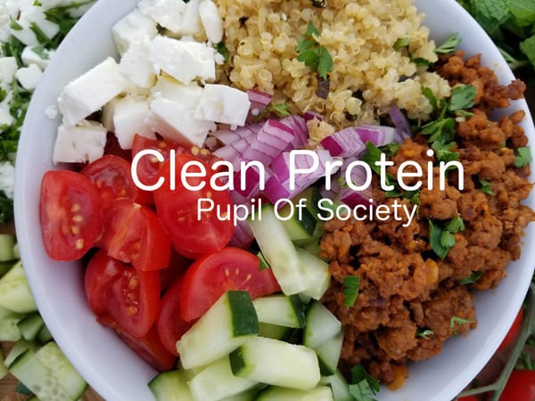 Clean Protein cover. Photo of a salad bowl with the title Clean Protein overlaid.