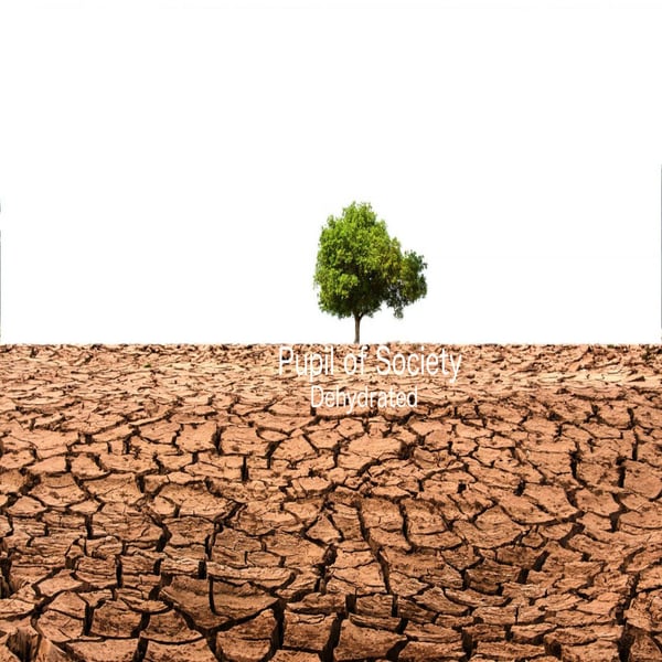 Dehydrated cover. A lone tree on cracked dry earth.