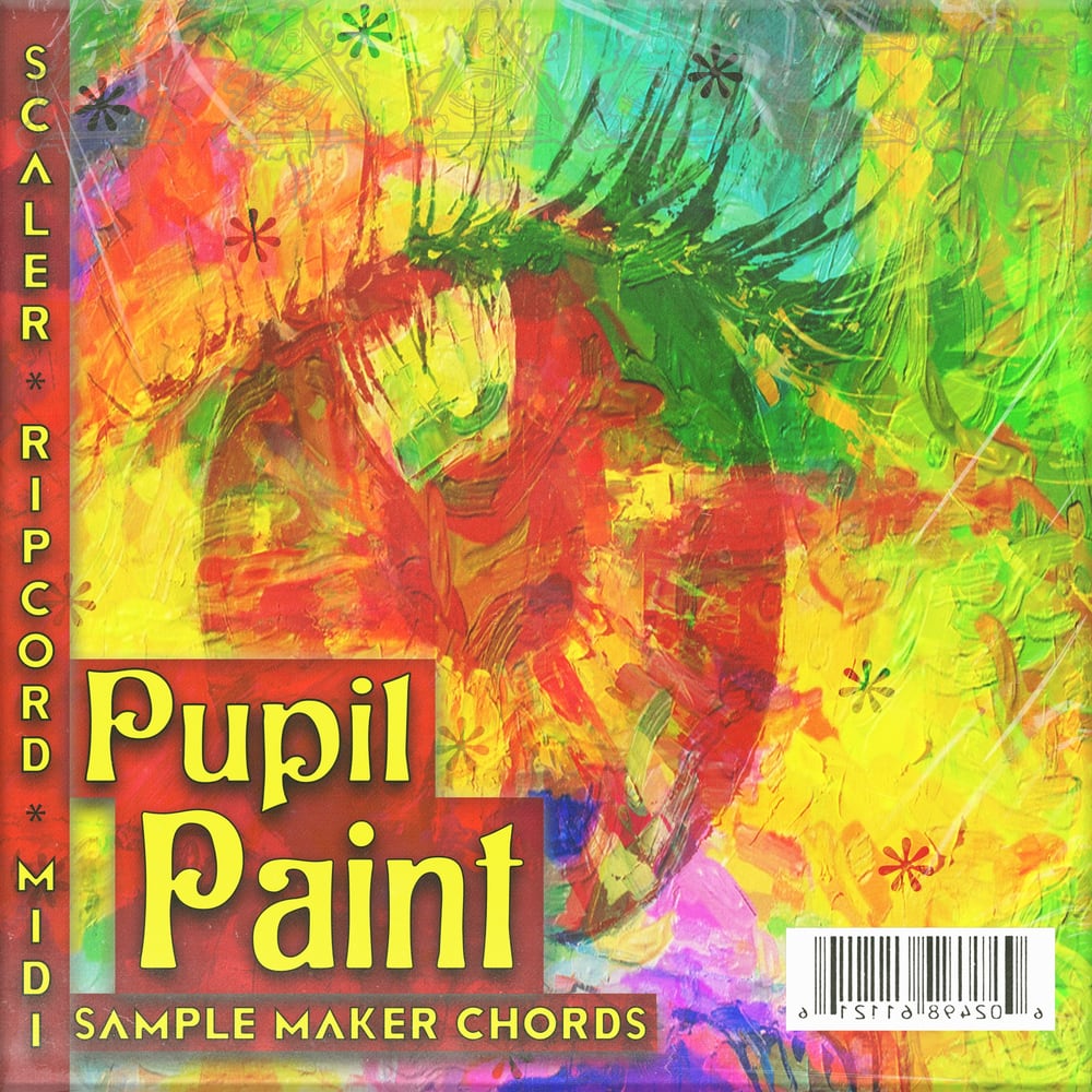 Paint: Chords for Sample Makers cover art.