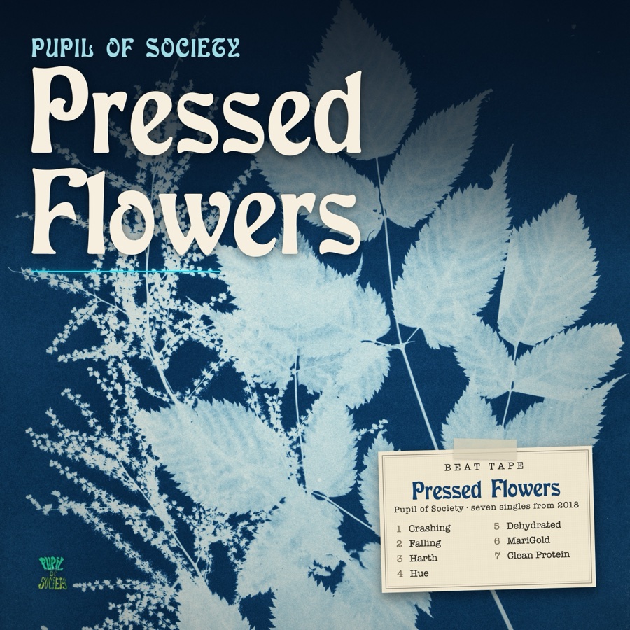 A blue cyanotype of pressed goat's beard leaves and flower sprays, with a taped specimen label listing the seven tracks.